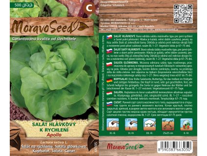 3402mm Salát hlavkový k rychlení Apollo, 66305