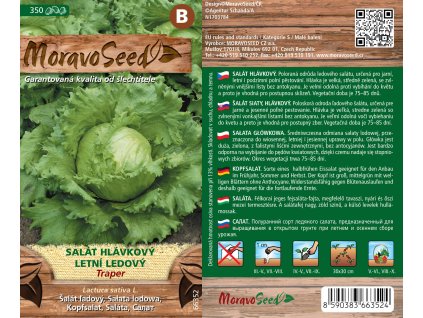 3516mm Salát hlávkový letní ledový Traper, 66352
