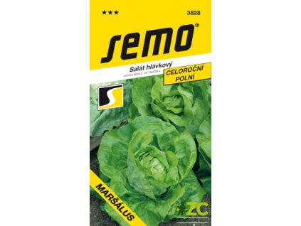 8494d455 4484 48ea 9366 26a9c94df9bb