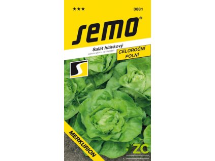 dd17e5d5 b6ee 4aa8 b93e 22c3943d73c9