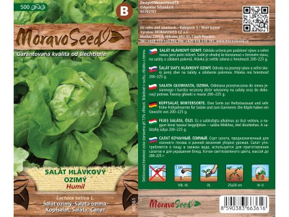 3535mm Salát hlávkový ozimý Humil, 66361