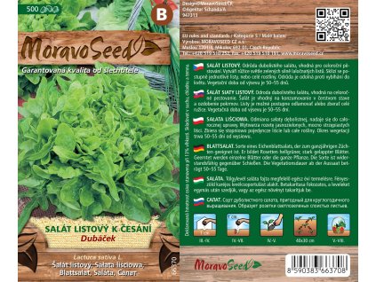 3583mm Salát listový k česání Dubáček, 66370