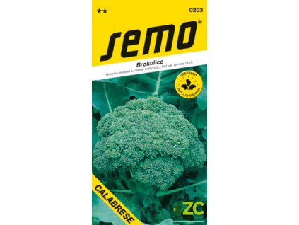 9543a997 06c6 40e2 afa5 1e40fea513a2