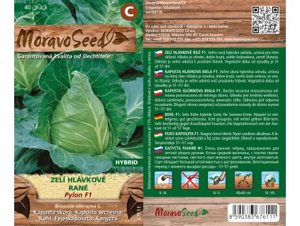 3986mm Zelí hlávkové rané Pylon F1, 67611