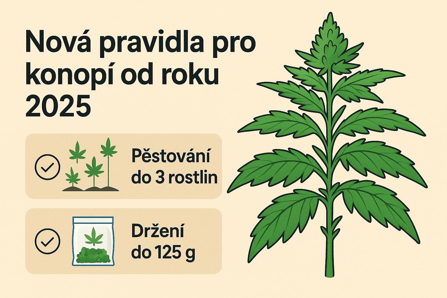 Novela o konopí 2025: Co smíte legálně pěstovat a držet