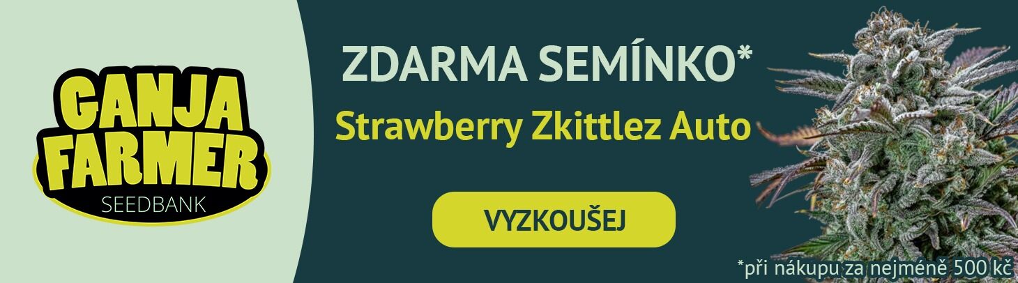 strawberry zkittlez auto