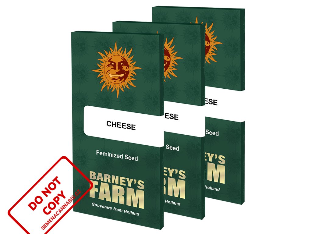 Cheese™ | Barneys Farm