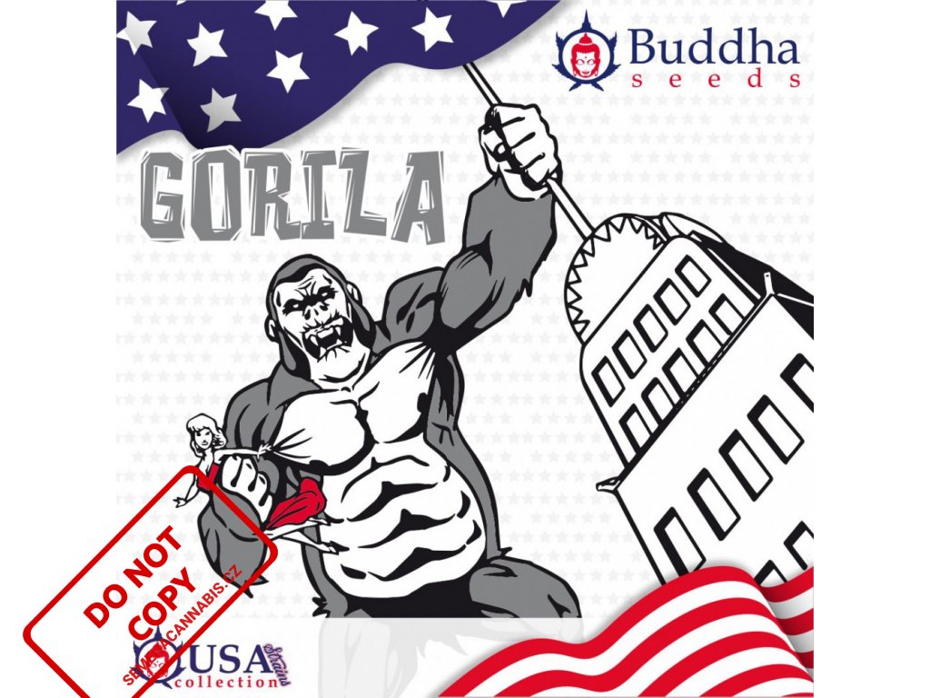 Gorilla | Buddha Seeds