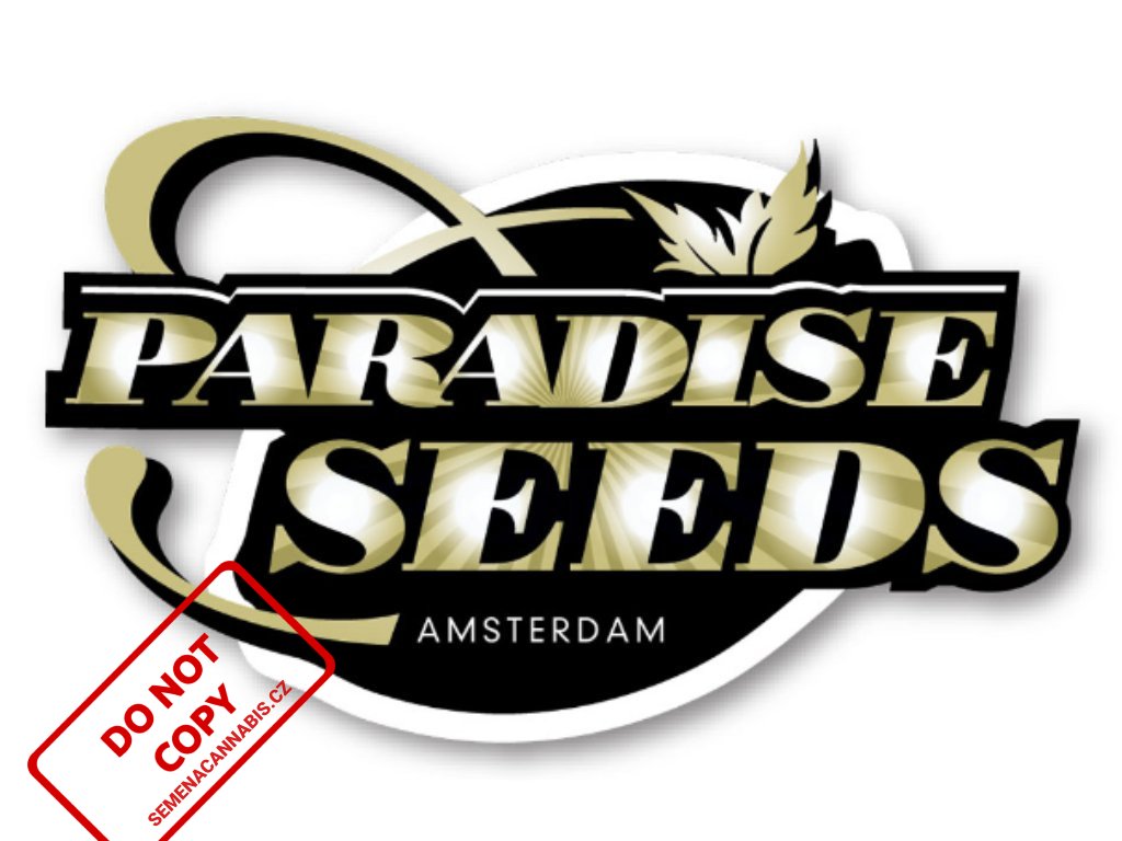 Space Cookies | Paradise Seeds