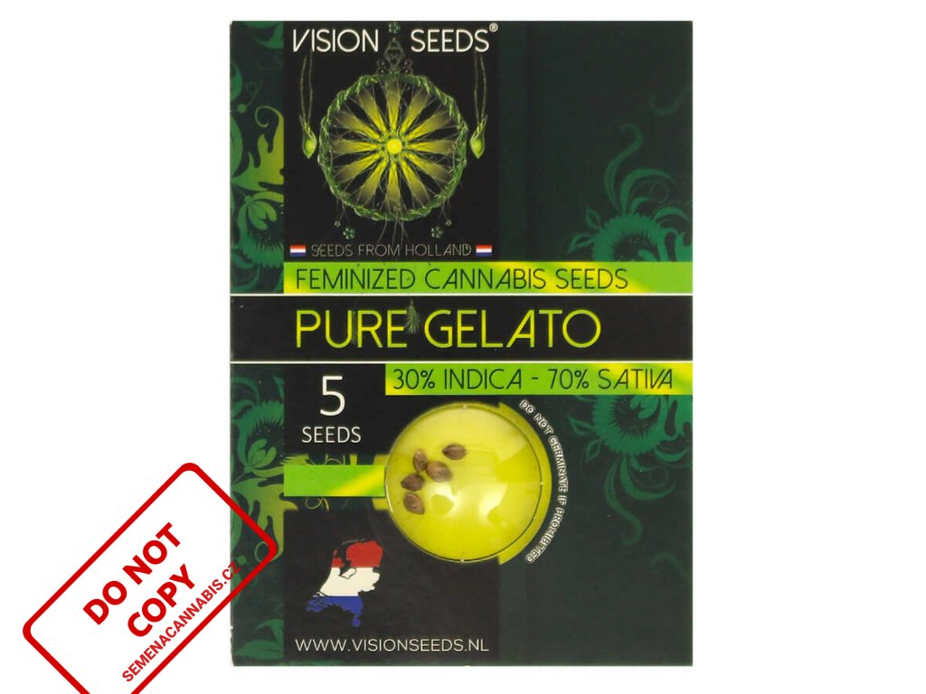 Pure Gelato | Vision Seeds