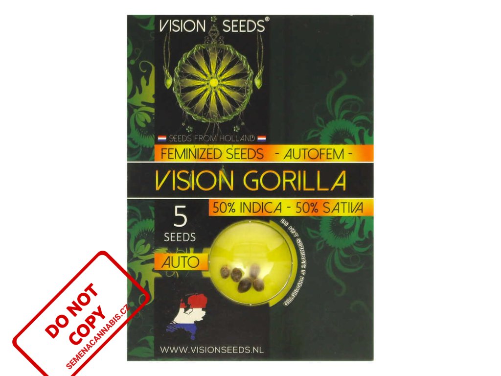 Vision Gorilla AUTO | Vision Seeds