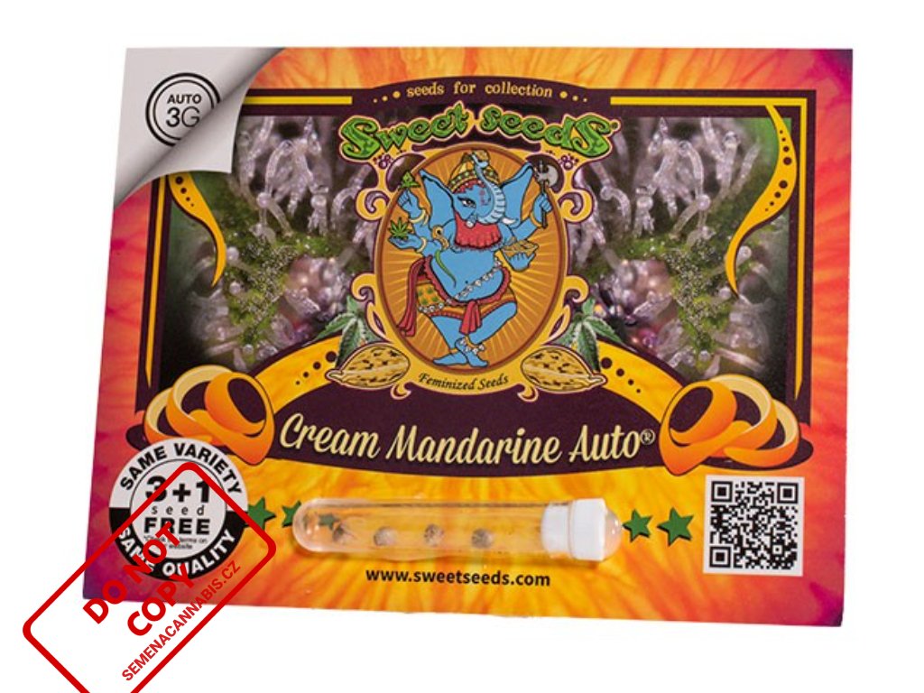Cream Mandarine AUTO | Sweet Seeds