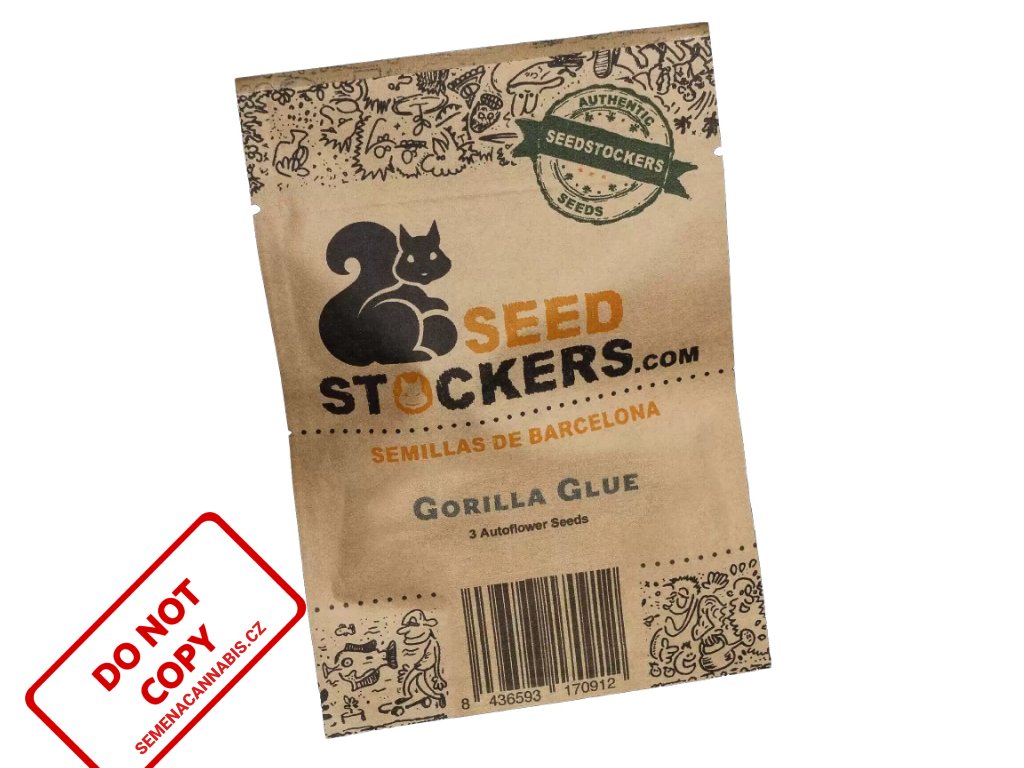 Gorilla Glue AUTO | Seedstockers ((Ks) Feminized 1)