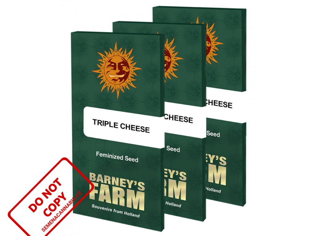 triple cheese barneys