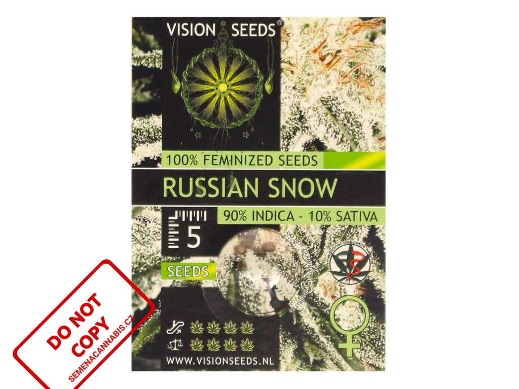Russian Snow | Vision Seeds