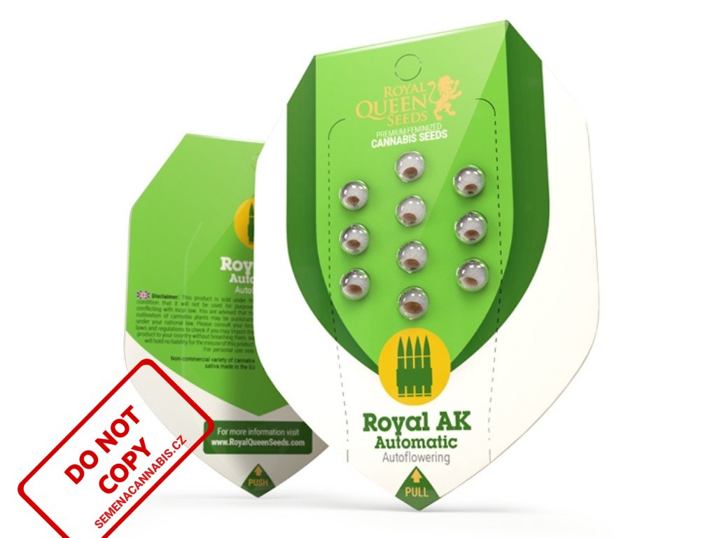 Royal AK AUTO | Royal Queen Seeds