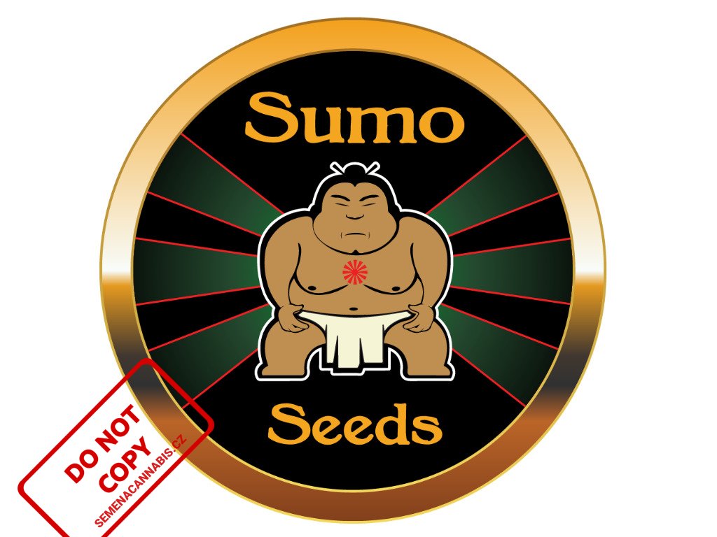 Honey Rock | Sumo Seeds ((Ks) Feminized 3)