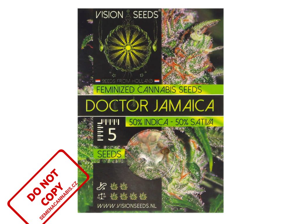 Doctor Jamaica | Vision Seeds