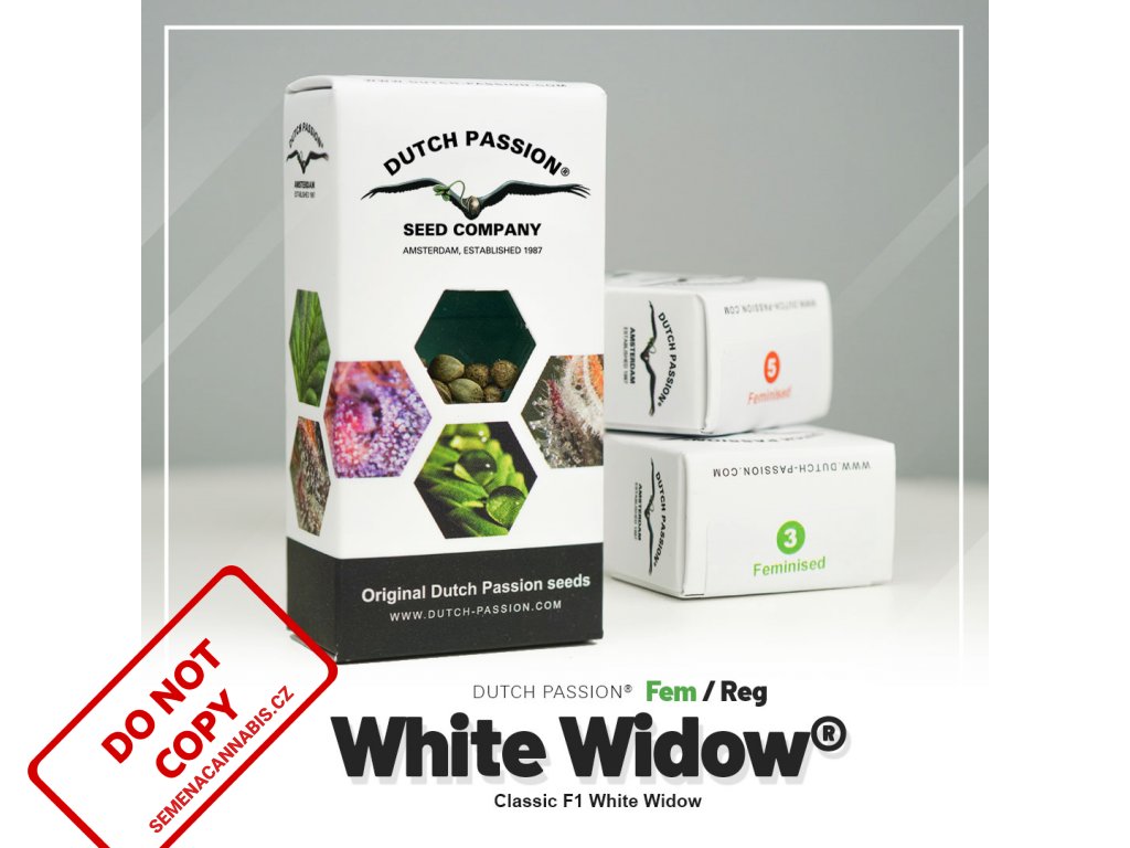 White Widow® | Dutch Passion