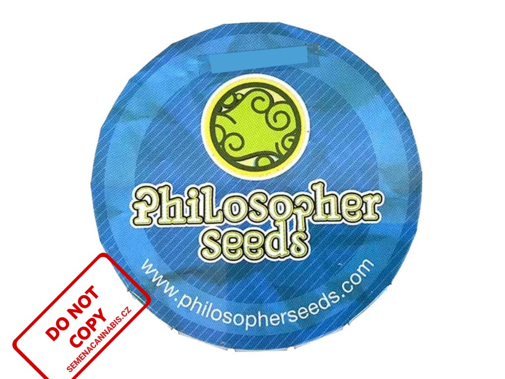 Amnesika 2.0 | Philosopher Seeds ((Ks) Feminized 3)