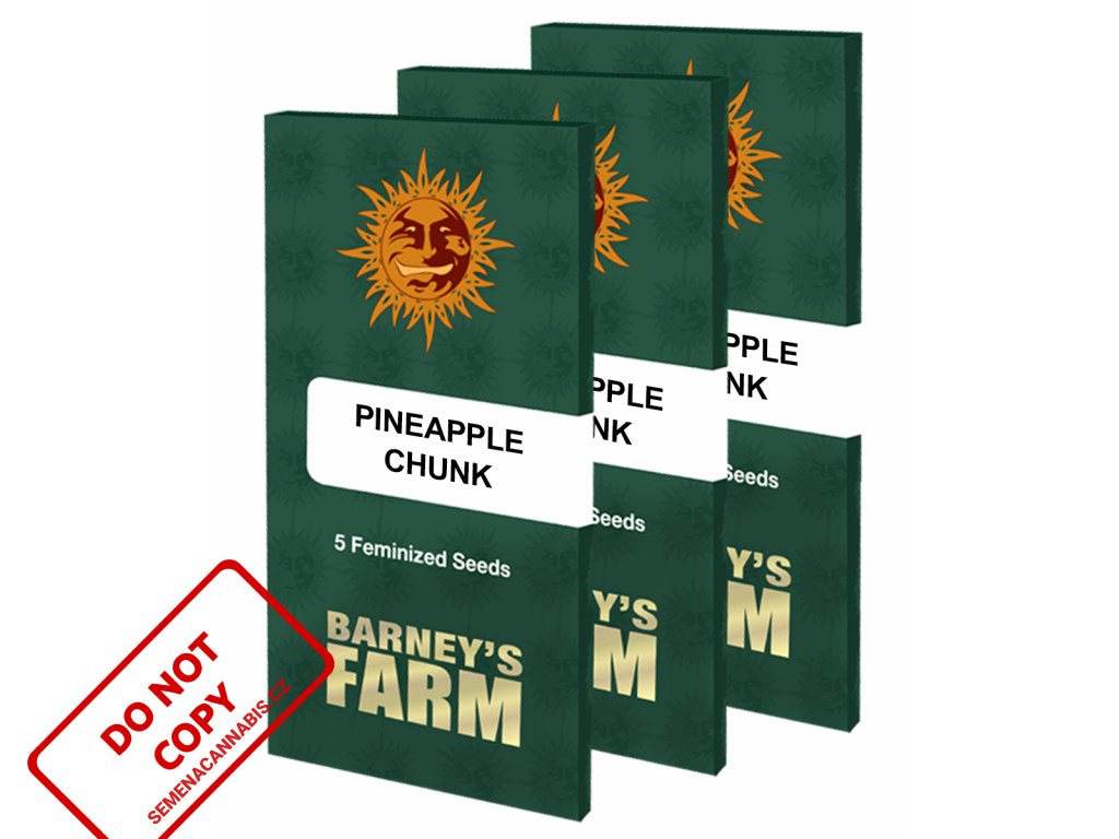 Pineapple Chunk™ | Barneys Farm ((Ks) Feminized 10 + 3 Zdarma)