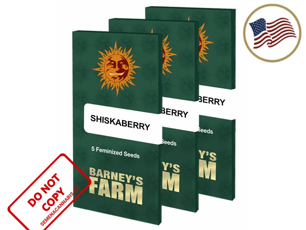 Shiskaberry™ | Barneys Farm ((Ks) Feminized 10 + 3 Zdarma)