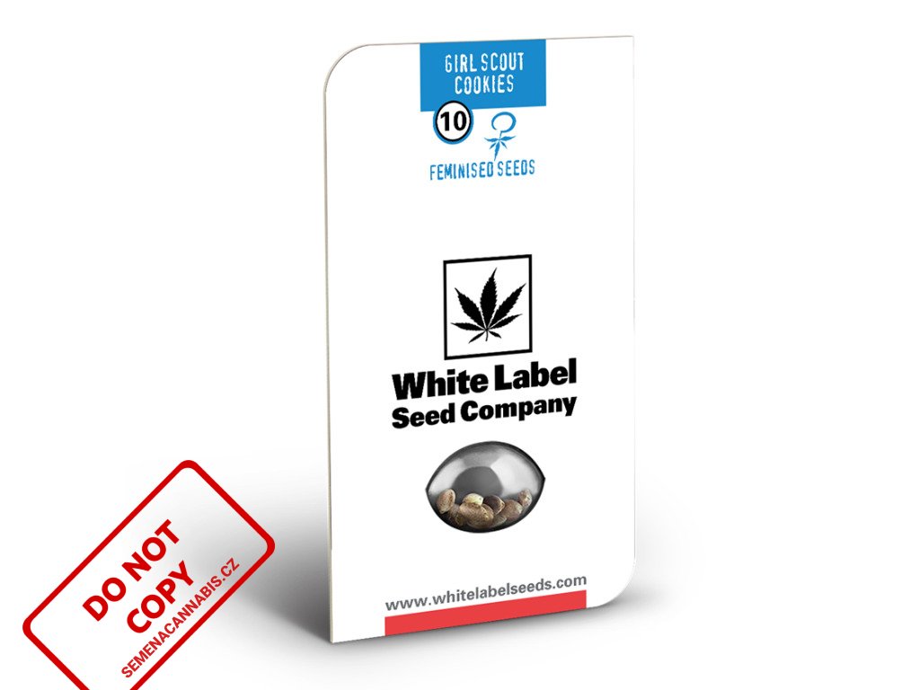 Girl Scout Cookies - American Line - White Label | Sensi Seeds ((Ks) Feminized 10 + 1 Zdarma)