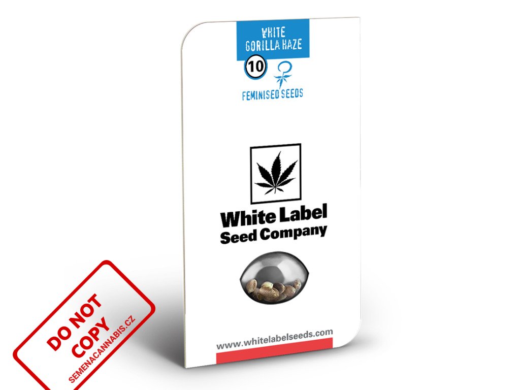 White Gorilla Haze - White Label | Sensi Seeds