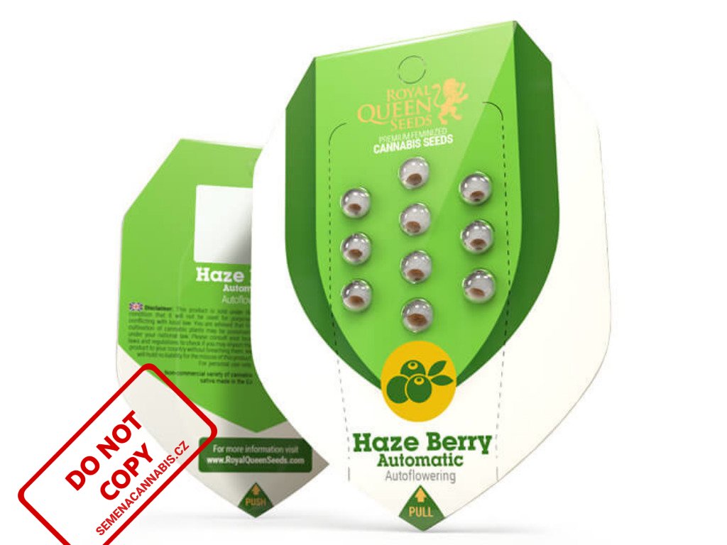 Haze Berry AUTO | Royal Queen Seeds