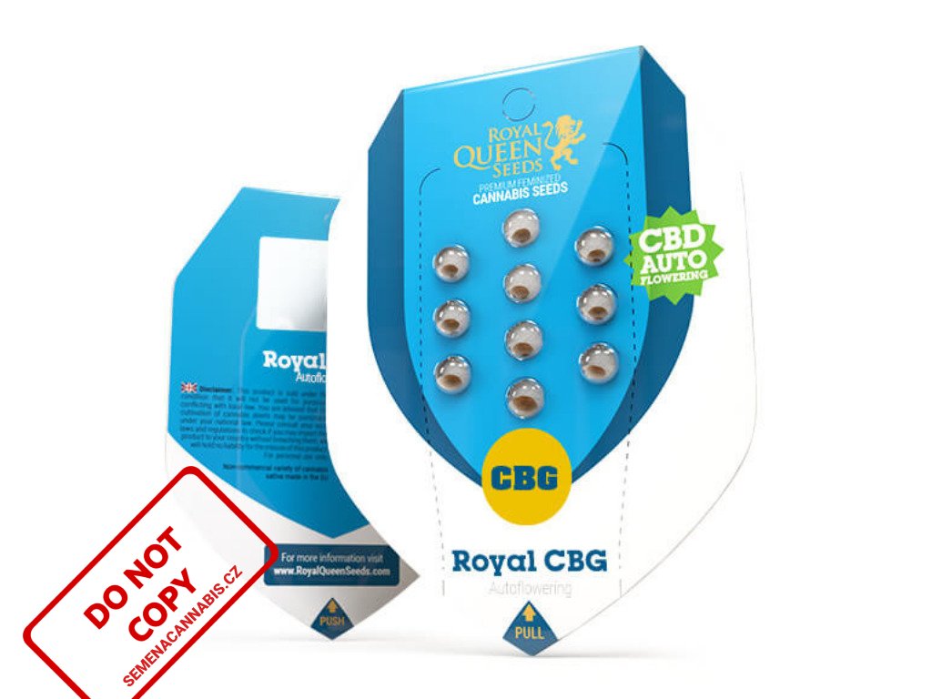Royal AUTO CBG | Royal Queen Seeds ((Ks) Feminized 10 + 1 Zdarma)