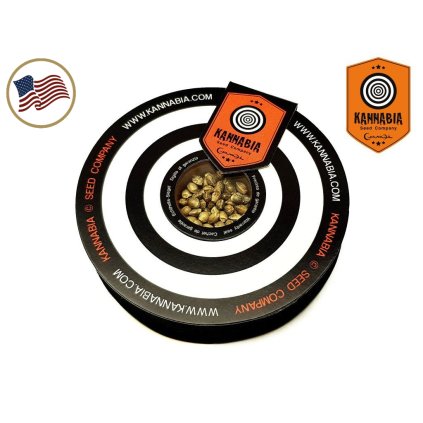 Gorilla King AUTO Auto – samonakvétací semena | Kannabia Seeds