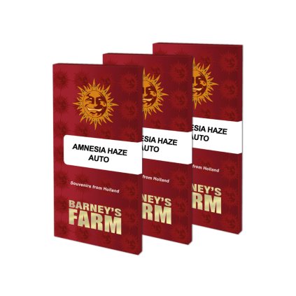 Amnesia Haze AUTO Auto – samonakvétací semena | Barneys Farm