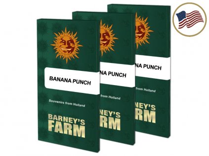 Banana Punch™ | Barneys Farm
