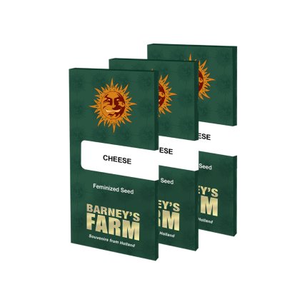 Cheese™ | Barneys Farm