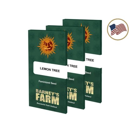 Lemon Tree™ | Barneys Farm