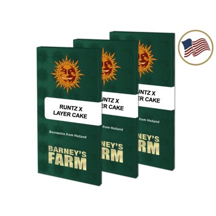 Runtz x Layer Cake – feminizovaná semena | Barneys Farm