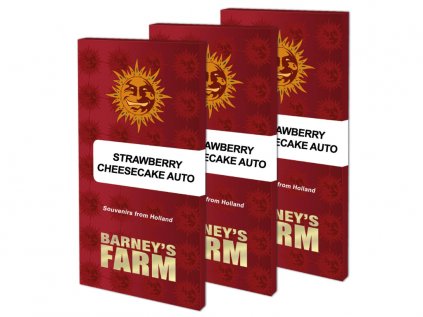 Strawberry Cheesecake AUTO™ | Barneys Farm