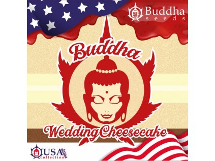 Wedding Cheesecake | Buddha Seeds