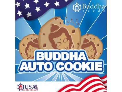 Cookie AUTO | Buddha Seeds
