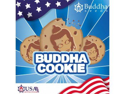 Cookie | Buddha Seeds
