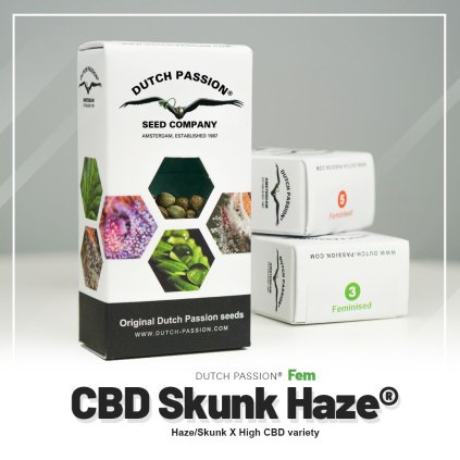 Skunk Haze® CBD – feminizovaná semena | Dutch Passion