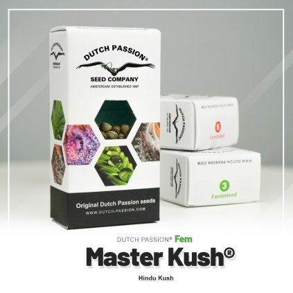 Masterkush® – rychlekvetoucí semena | Dutch Passion