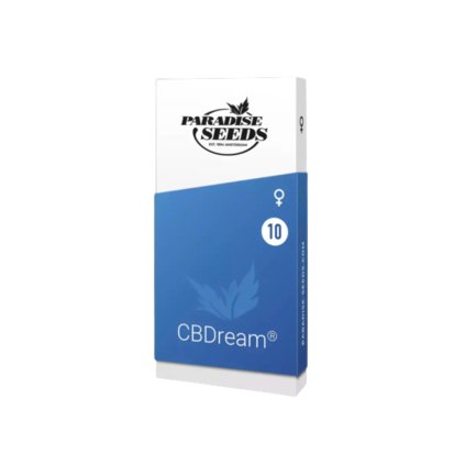 Dream CBD – feminizovaná semena | Paradise Seeds