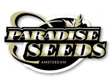 El Dorado OG | Paradise Seeds