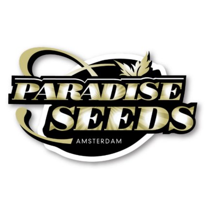 Space Cookies – feminizovaná semena | Paradise Seeds