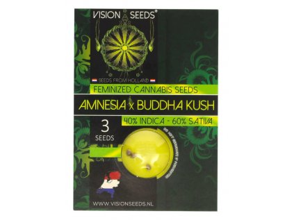 Amnesia X Buddha Kush | Vision Seeds