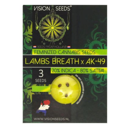 Lamb's Breath x AK-49 | Vision Seeds