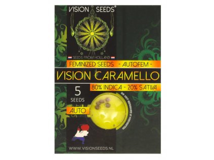 Vision Caramello AUTO | Vision Seeds