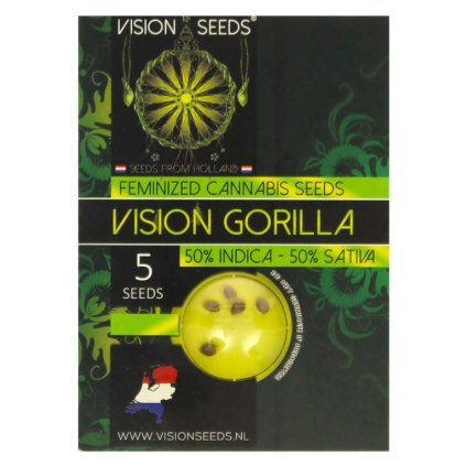 Vision Gorilla – feminizovaná semena | Vision Seeds