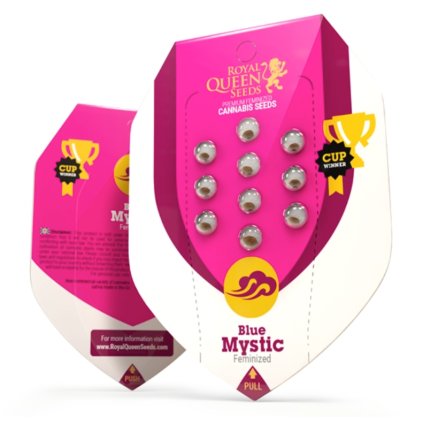 Blue Mystic – feminizovaná semena | Royal Queen Seeds
